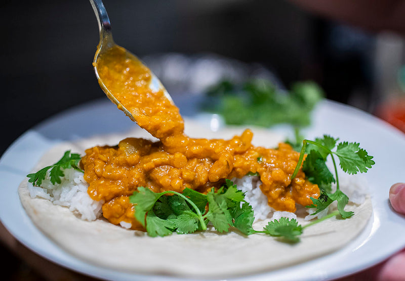 red lentil coconut curry on a tortilla